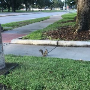 Meet your Posher, Aron